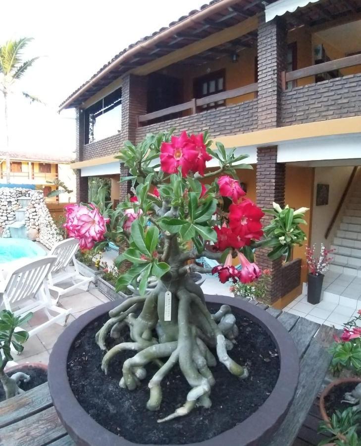 Pousada A Flor da Terra Porto Seguro Exterior foto